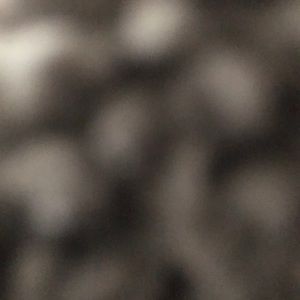 Meet your Posher, Glo